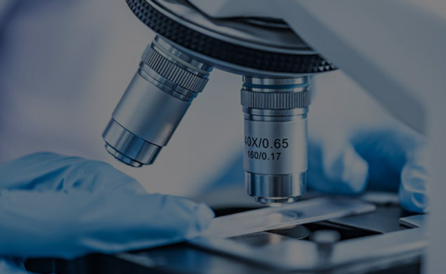 교육 컨설팅 예시입니다